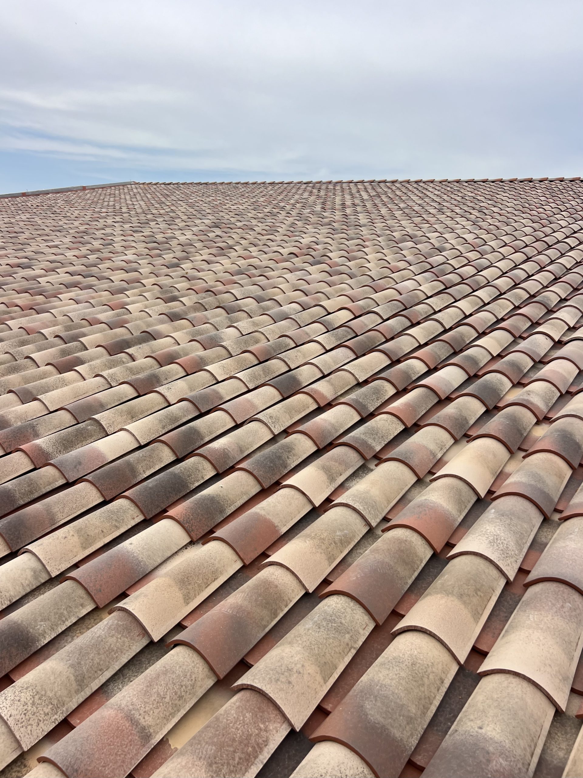 2503d779 3944 4bfa 9c2b eea5144e8031 scaled