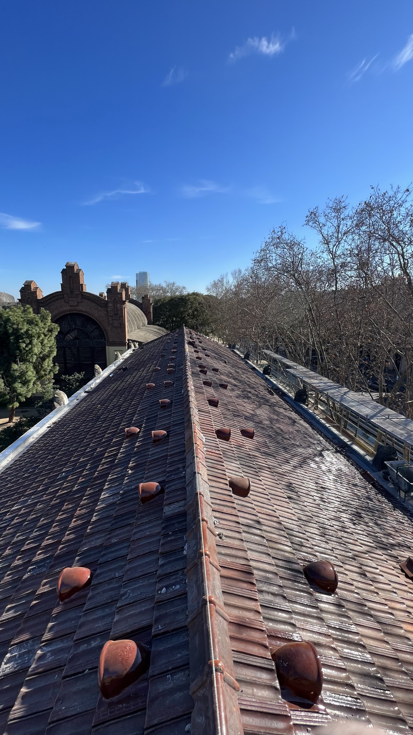 2590a41f 0620 44cb 8a54 ed729c39dd52